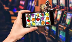 kuwin50